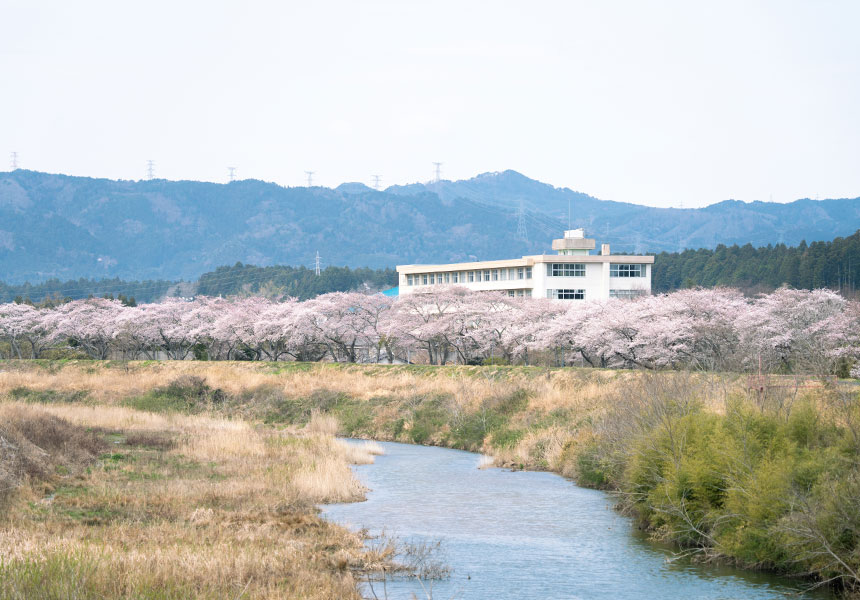 現地案内の様子3