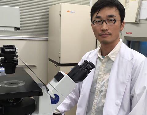 放射線生物学部門・有吉健太郎助教らの研究チームが，人工的に染色体異数化を引き起こした細胞においてゲノムの不安定化が生じることを発見