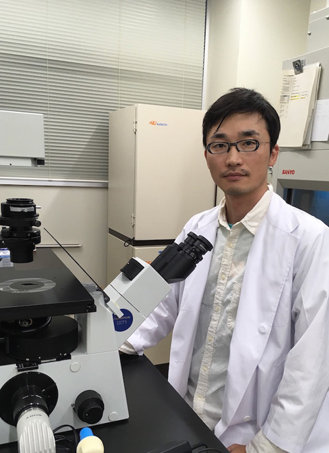放射線生物学部門・有吉健太郎助教らの研究チームが，人工的に染色体異数化を引き起こした細胞においてゲノムの不安定化が生じることを発見